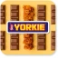 Yorkie Raisin & Biscuit